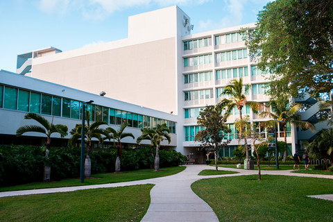 faculty Senate